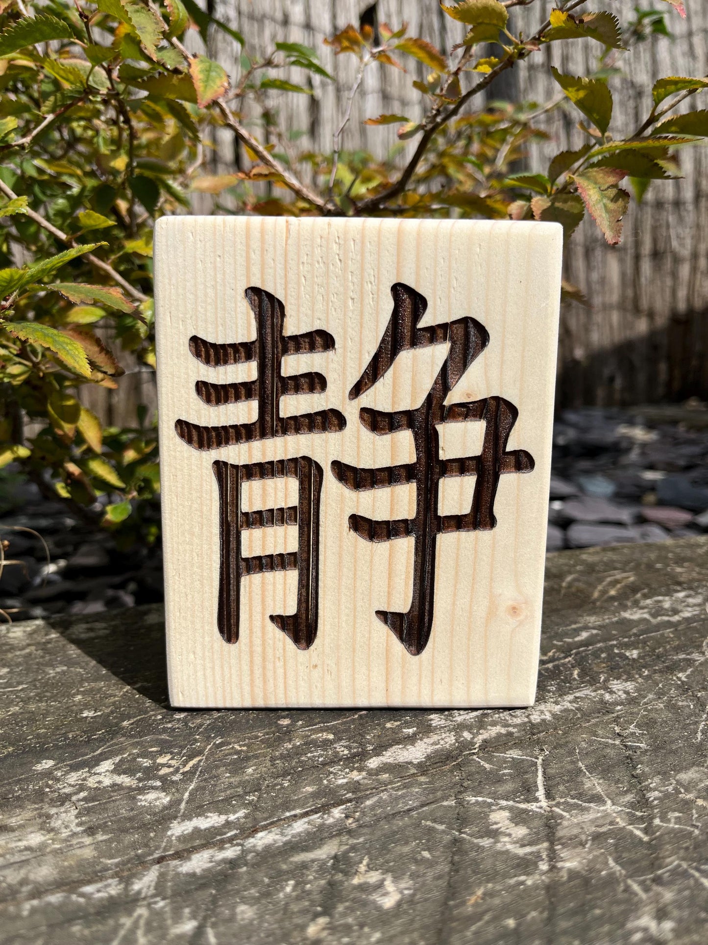 Quiet & Beauty | Kanji Characters